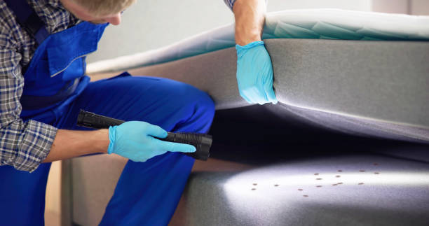 Best Wasp Removal Services  in Venetian Vlage, IL