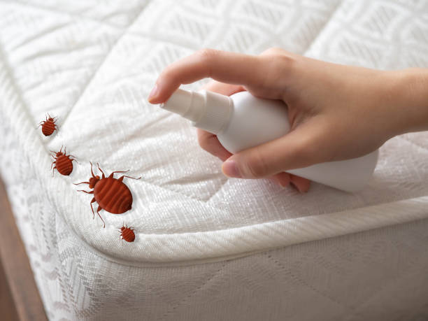 Best Residential Pest Control  in Venetian Vlage, IL